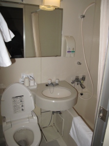 small and compact toilet